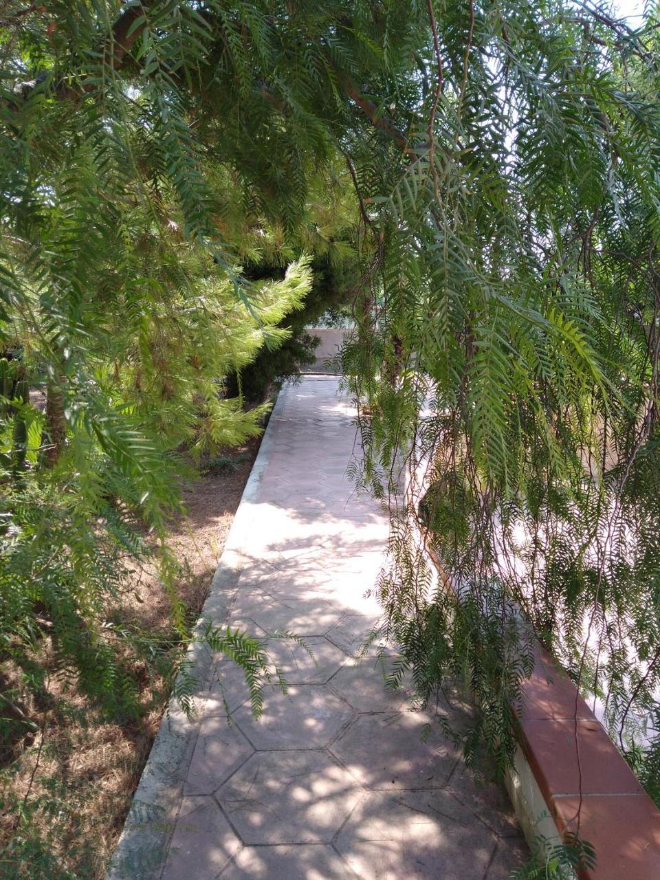 Stelle Sul Salento Holiday Home 玛丽娜迪曼卡维萨 外观 照片